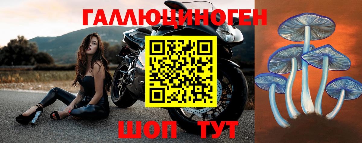 Псилоцибиновые грибы Psilocybine cubensis Можайск