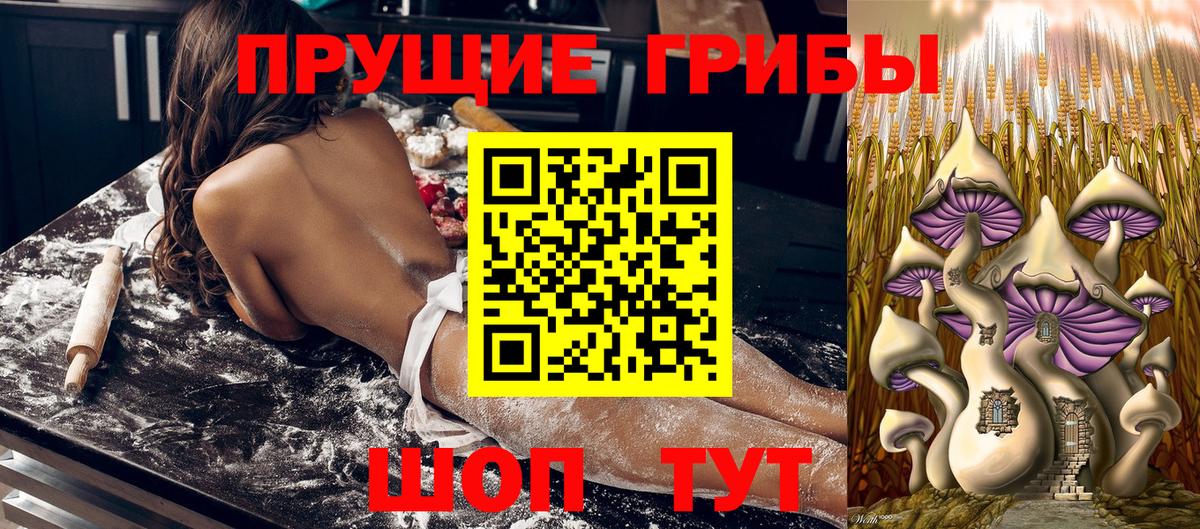 Галлюциногенные грибы MAGIC MUSHROOMS  Вход с VPN  Можайск  Псилоцибиновые грибы мицелий 